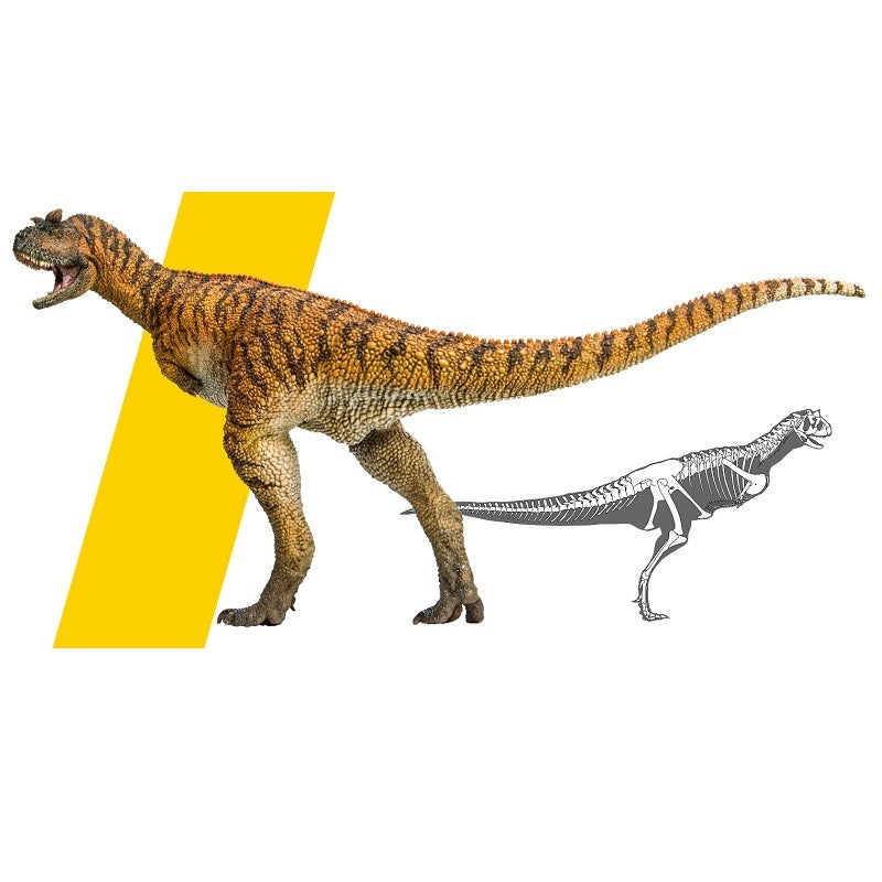 Growth Companion Model Carnivorous Ox Dragon Domingo Dinosaur Toy