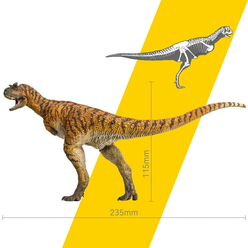 Growth Companion Model Carnivorous Ox Dragon Domingo Dinosaur Toy