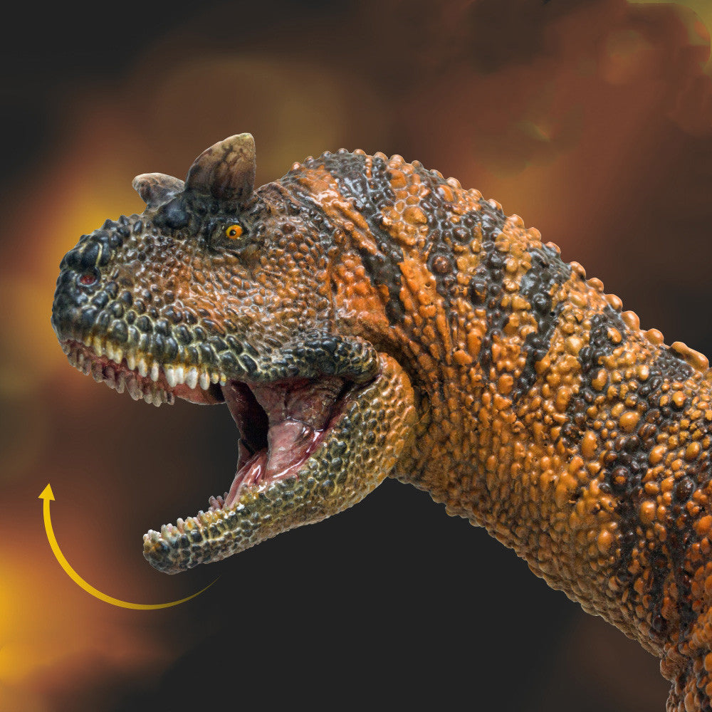 Growth Companion Model Carnivorous Ox Dragon Domingo Dinosaur Toy