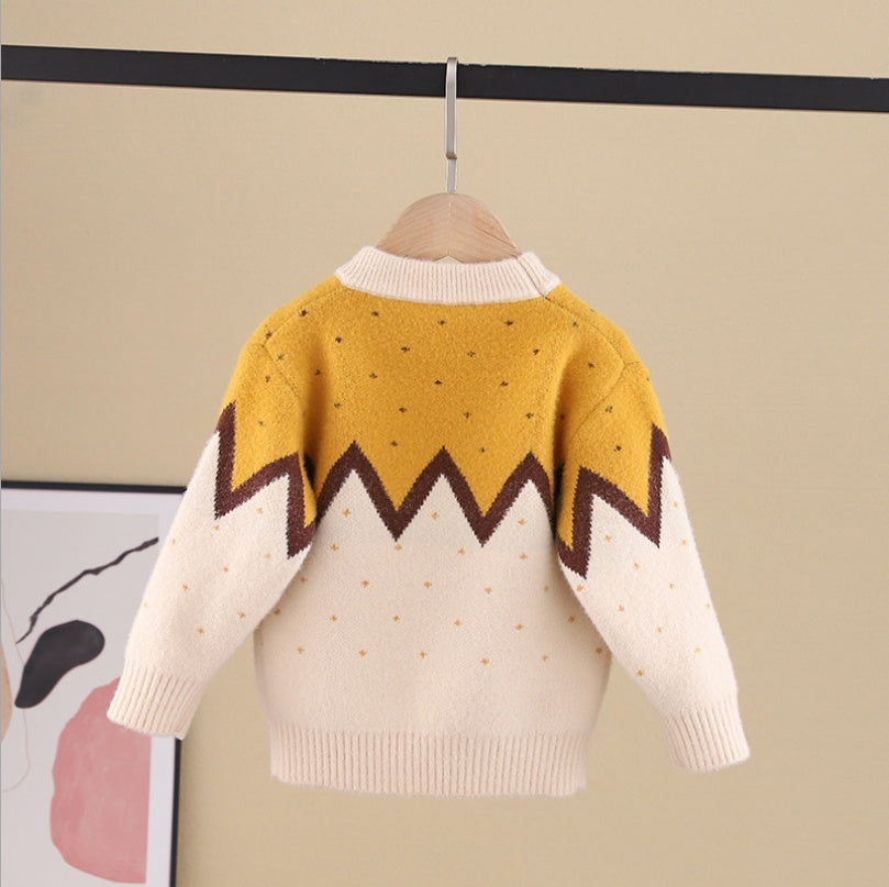 Boys' Pullover Fleece Thickened Mink Mink Velvet