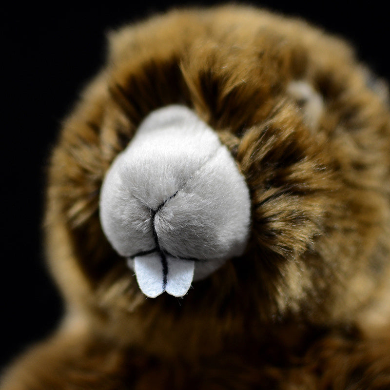 Cute Groundhog Simulation Animal Plush Model